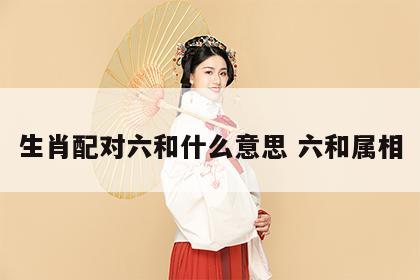 生肖配对六和什么意思 六和属相