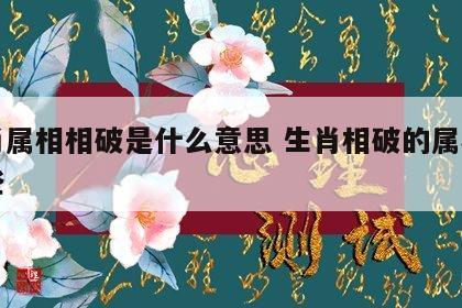 生肖属相相破是什么意思 生肖相破的属相有哪些