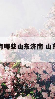 风水吉祥物有哪些山东济南 山东济南风水师排名