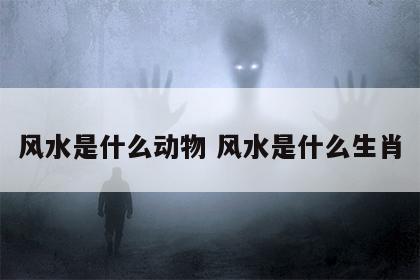 风水是什么动物 风水是什么生肖