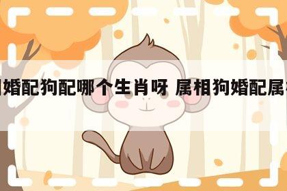 属相婚配狗配哪个生肖呀 属相狗婚配属相最好