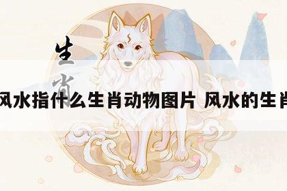 风水指什么生肖动物图片 风水的生肖