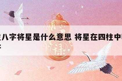 四柱八字将星是什么意思 将星在四柱中哪柱最好