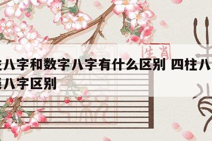 四柱八字和数字八字有什么区别 四柱八字和生辰八字区别
