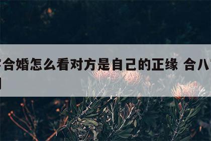 八字合婚怎么看对方是自己的正缘 合八字看婚期