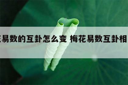 梅花易数的互卦怎么变 梅花易数互卦相互作用