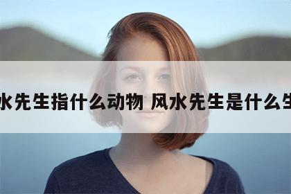 风水先生指什么动物 风水先生是什么生肖