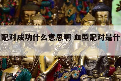 血型配对成功什么意思啊 血型配对是什么意思