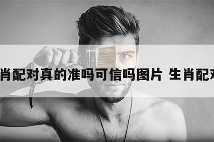 生肖配对真的准吗可信吗图片 生肖配对?
