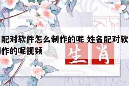 姓名配对软件怎么制作的呢 姓名配对软件怎么制作的呢视频