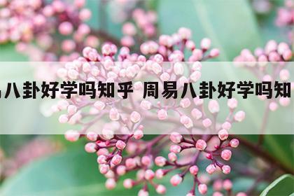 周易八卦好学吗知乎 周易八卦好学吗知乎全文