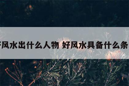 好风水出什么人物 好风水具备什么条件