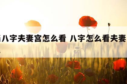 生辰八字夫妻宫怎么看 八字怎么看夫妻宫在哪里