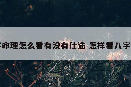 八字命理怎么看有没有仕途 怎样看八字命局