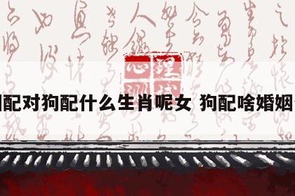 婚姻配对狗配什么生肖呢女 狗配啥婚姻合适
