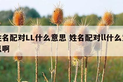 姓名配对LL什么意思 姓名配对ll什么意思啊