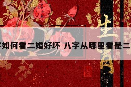八字如何看二婚好坏 八字从哪里看是二婚命