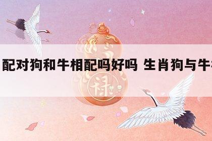 生肖配对狗和牛相配吗好吗 生肖狗与牛相配吗