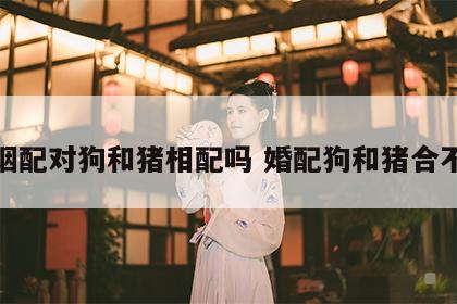 婚姻配对狗和猪相配吗 婚配狗和猪合不合
