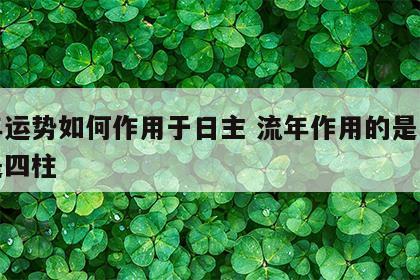 流年运势如何作用于日主 流年作用的是日柱还是四柱
