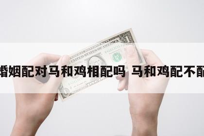 婚姻配对马和鸡相配吗 马和鸡配不配