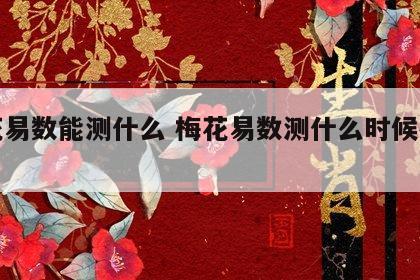 梅花易数能测什么 梅花易数测什么时候有对象
