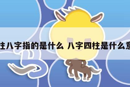 四柱八字指的是什么 八字四柱是什么意思