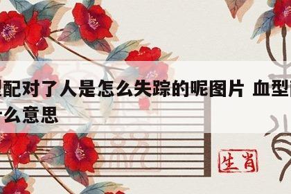 血型配对了人是怎么失踪的呢图片 血型配对是什么意思