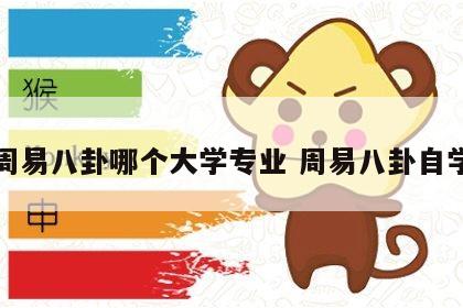 周易八卦哪个大学专业 周易八卦自学