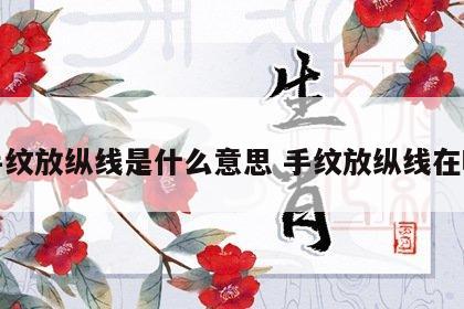 手纹放纵线是什么意思 手纹放纵线在哪
