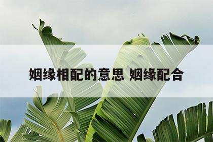 姻缘相配的意思 姻缘配合