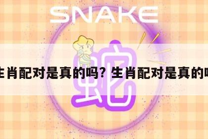生肖配对是真的吗? 生肖配对是真的吗