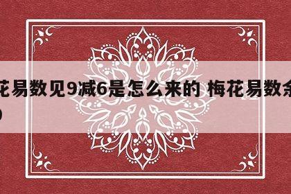 梅花易数见9减6是怎么来的 梅花易数余数是9
