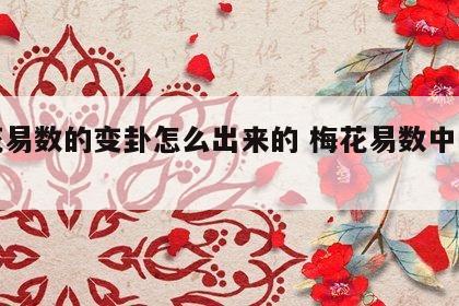梅花易数的变卦怎么出来的 梅花易数中的变卦