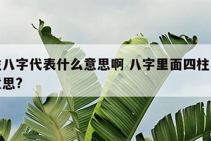 四柱八字代表什么意思啊 八字里面四柱是什么意思?