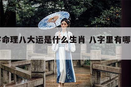 八字命理八大运是什么生肖 八字里有哪几种运