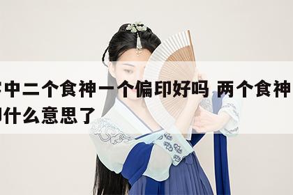 八字中二个食神一个偏印好吗 两个食神一个正印什么意思了