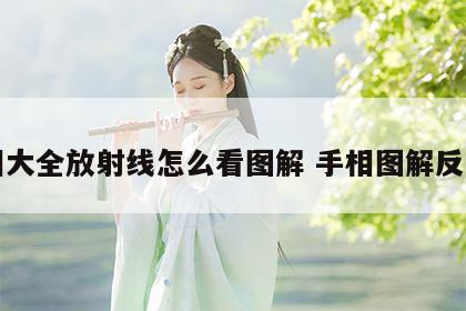 手相大全放射线怎么看图解 手相图解反射区