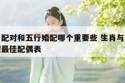 生肖配对和五行婚配哪个重要些 生肖与五行对照最佳配偶表