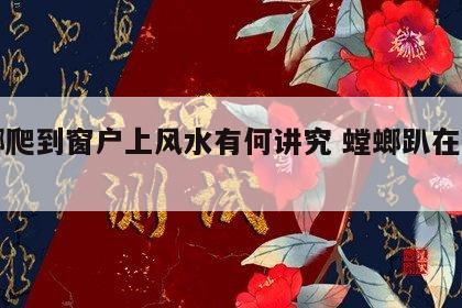 螳螂爬到窗户上风水有何讲究 螳螂趴在窗户上