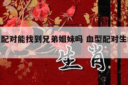 血型配对能找到兄弟姐妹吗 血型配对生的孩子
