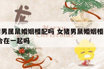 女猪男属鼠婚姻相配吗 女猪男鼠婚姻相配吗 适合在一起吗