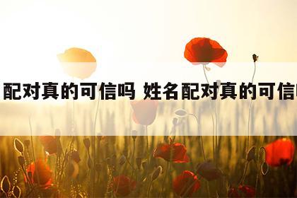 姓名配对真的可信吗 姓名配对真的可信吗知乎