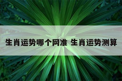 生肖运势哪个网准 生肖运势测算