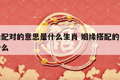 姻缘配对的意思是什么生肖 姻缘搭配的词语有什么