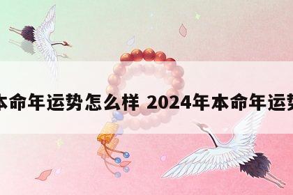 本命年运势怎么样 2024年本命年运势