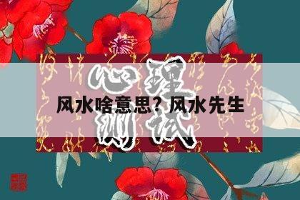 风水啥意思? 风水先生