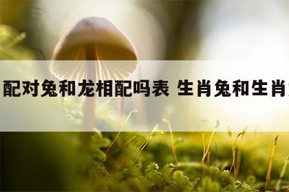 生肖配对兔和龙相配吗表 生肖兔和生肖龙配吗