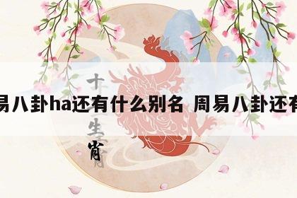 周易八卦ha还有什么别名 周易八卦还有啥