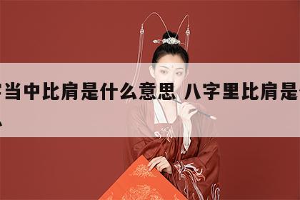 八字当中比肩是什么意思 八字里比肩是什么意思